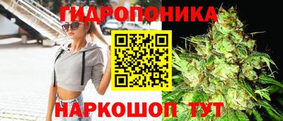 мдпв Кандалакша