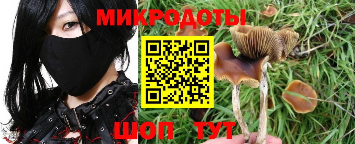 как найти   Псилоцибиновые грибы мухоморы  Вход с VPN  Малгобек 